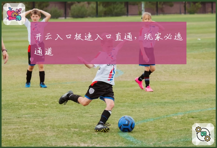 开云入口极速入口直通，玩家必选通道