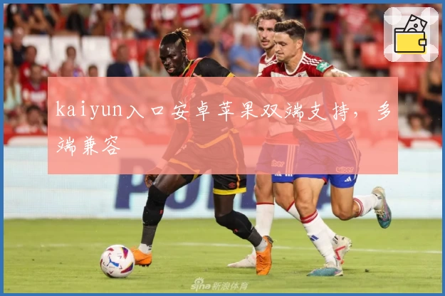 kaiyun入口安卓苹果双端支持，多端兼容