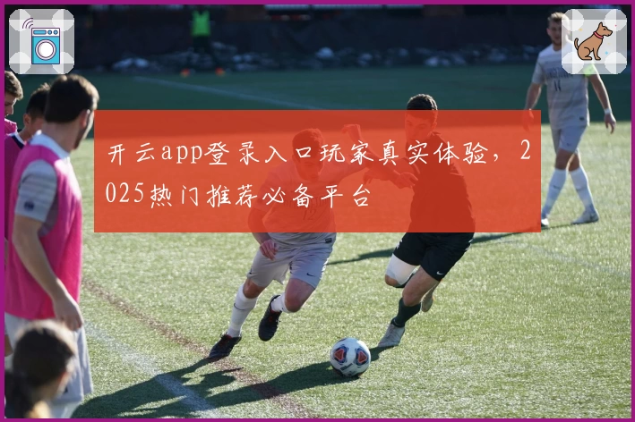 开云app登录入口玩家真实体验，2025热门推荐必备平台