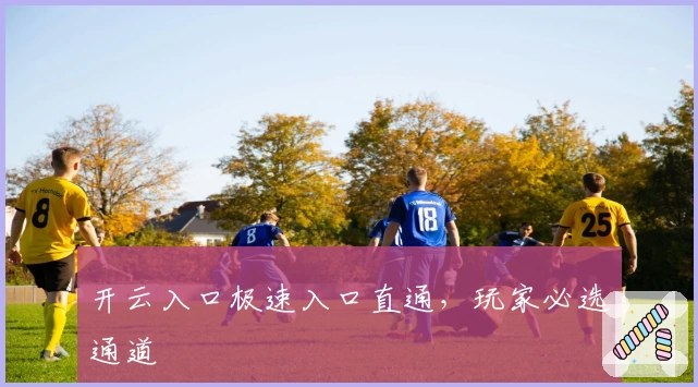 开云入口极速入口直通，玩家必选通道
