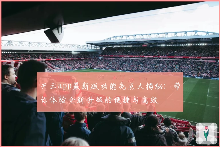开云app最新版功能亮点大揭秘：带你体验全新升级的便捷与高效