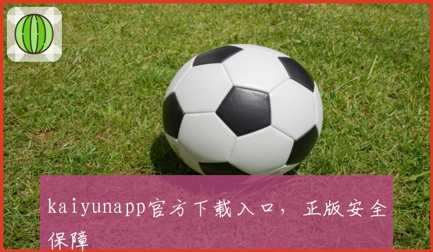 kaiyunapp官方下载入口,正版安全保障