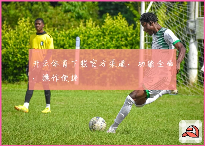 开云体育下载官方渠道，功能全面，操作便捷